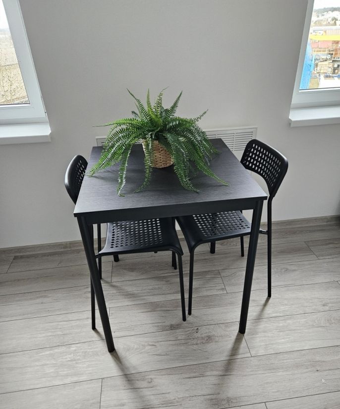 Pronájem, Byt 2+kk, Plzeň