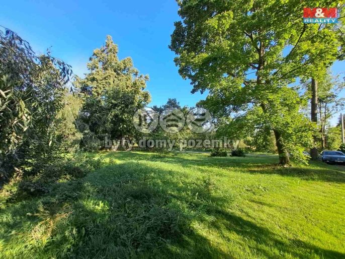 Prodej, Zahrada, Město Albrechtice