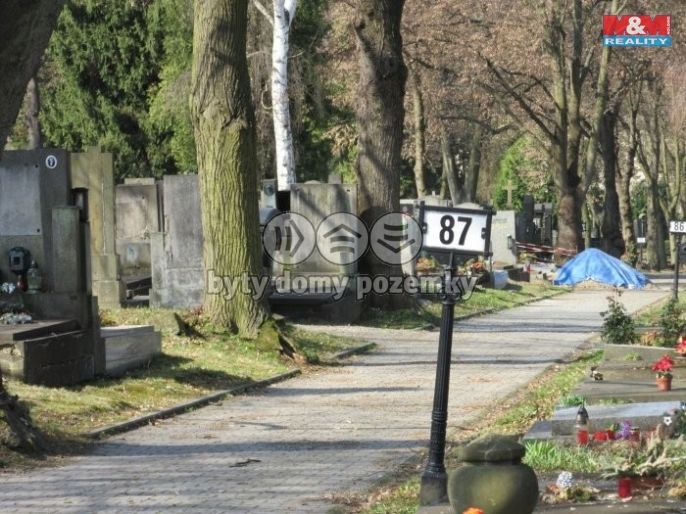 Prodej, Ostatní, Plzeň