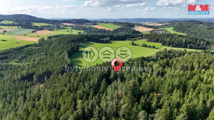 Prodej, Les, Petrovice u Sušice