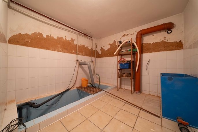 Prodej, Rodinný dům, Druztová