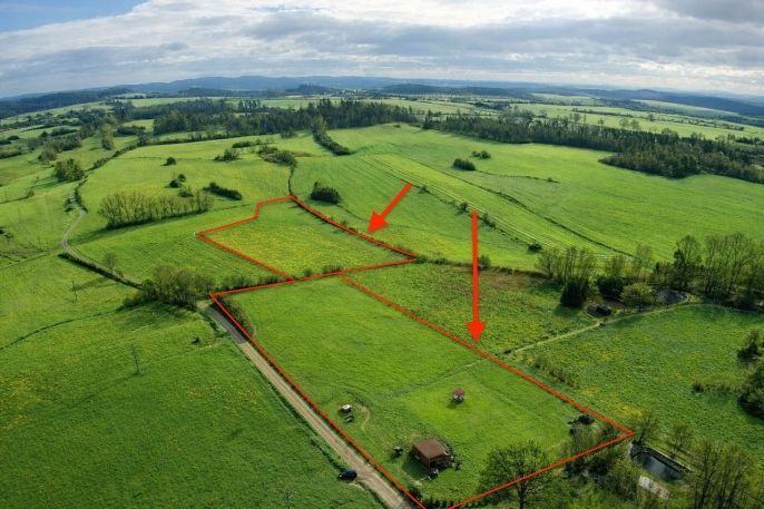 Prodej, Pastvina, Předotice