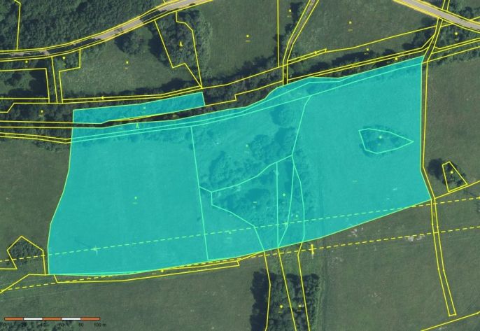 Prodej, Louka, Kozly