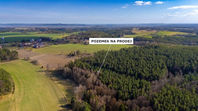 Prodej, Les, Všelibice