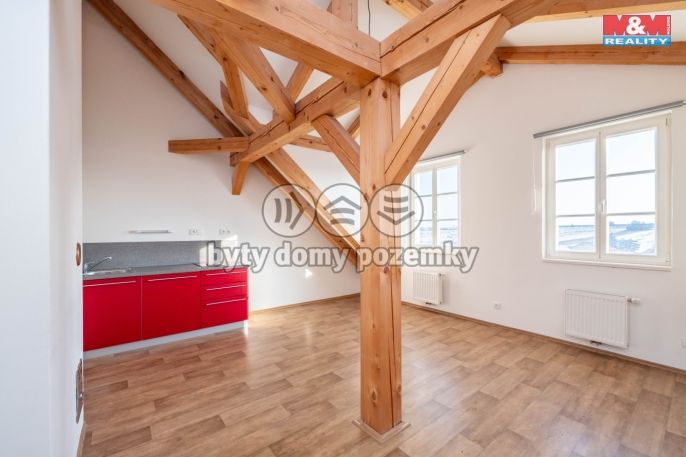 Pronájem, Byt 1+kk, Studeněves