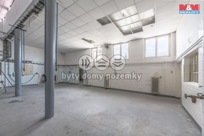 Prodej, Výrobní objekt, Kostelec nad Labem