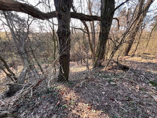 Prodej, Pozemek k bydlení, Škvorec