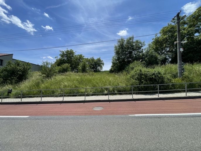 Prodej, Pozemek k bydlení, Holubice