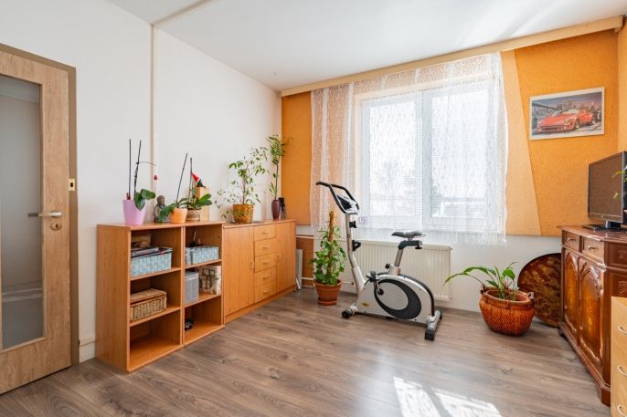 Prodej, Byt 4+1, Mladošovice