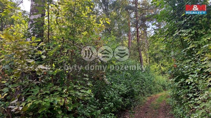 Prodej, Chata, Úštěk