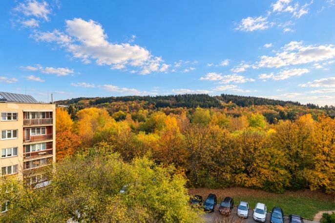 Prodej, Byt 3+1, Příbram