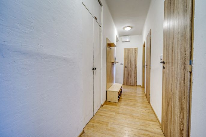 Pronájem, Byt 2+1, Plasy