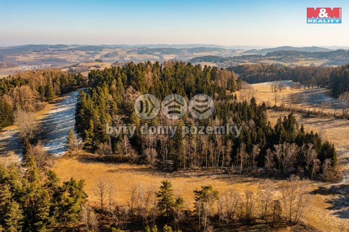 Prodej, Les, Nišovice