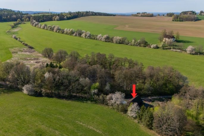 Prodej, Zemědělská usedlost, Vidice