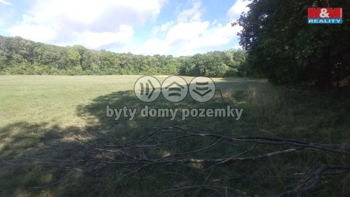 Prodej, Louka, Jenčice