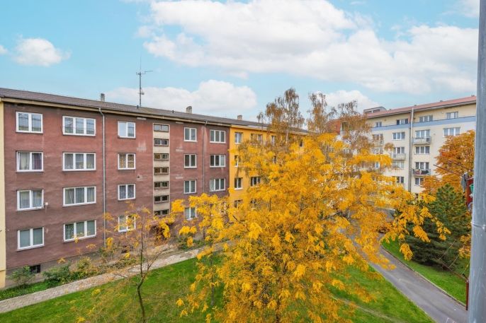 Pronájem, Byt 2+1, Louny