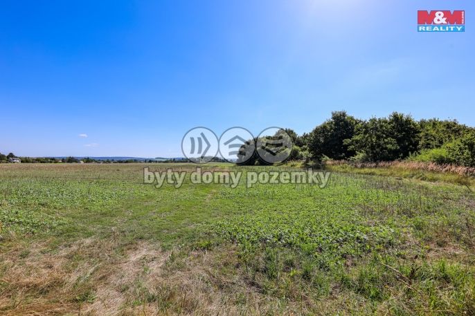 Prodej, Pole, Plzeň