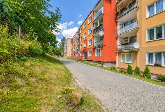 Pronájem, Byt 1+1, Luby