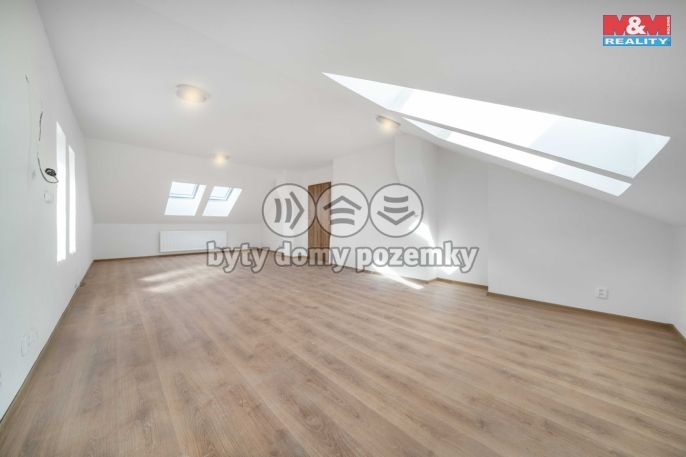 Prodej, Byt 3+kk, Plešnice