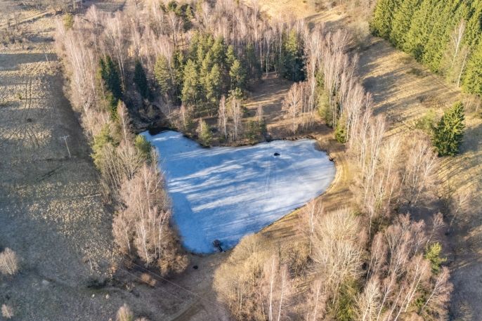Prodej, Rodinný dům, Rotava