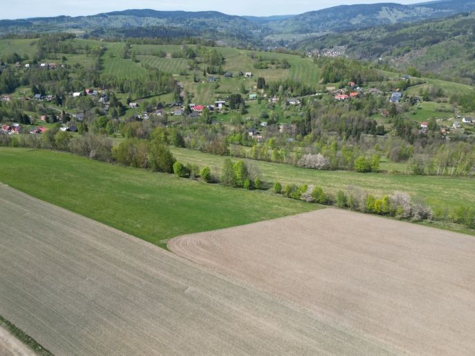 Prodej, Pole, Vysoké nad Jizerou