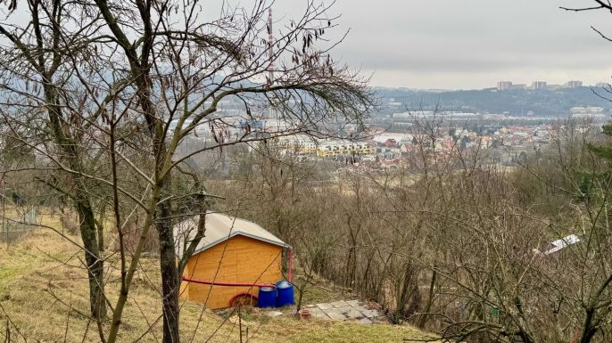 Pronájem, Zahrada, Brno