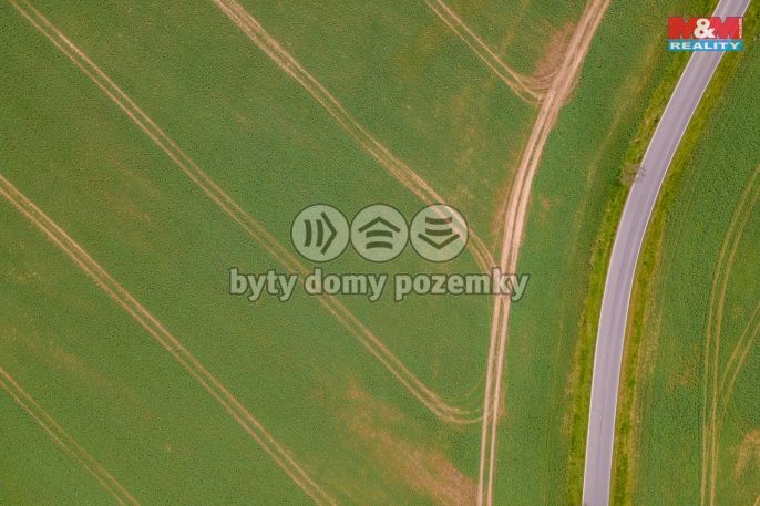 Prodej, Pole, Čižice