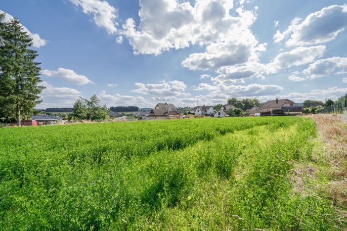 Prodej, Ostatní, Plesná