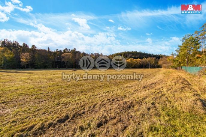 Prodej, Zahrada, Mladotice