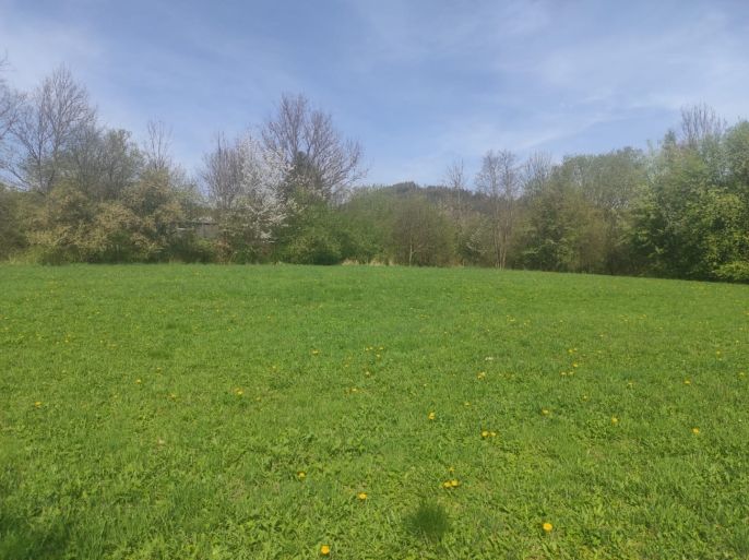 Prodej, Pozemek k bydlení, Velké Losiny