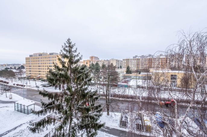 Pronájem, Byt 1+kk, Praha