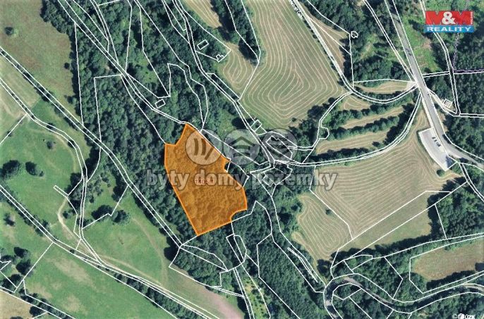 Prodej, Les, Trutnov