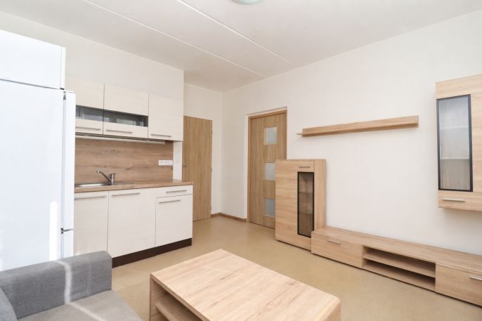 Prodej, Byt 1+1, Chodov