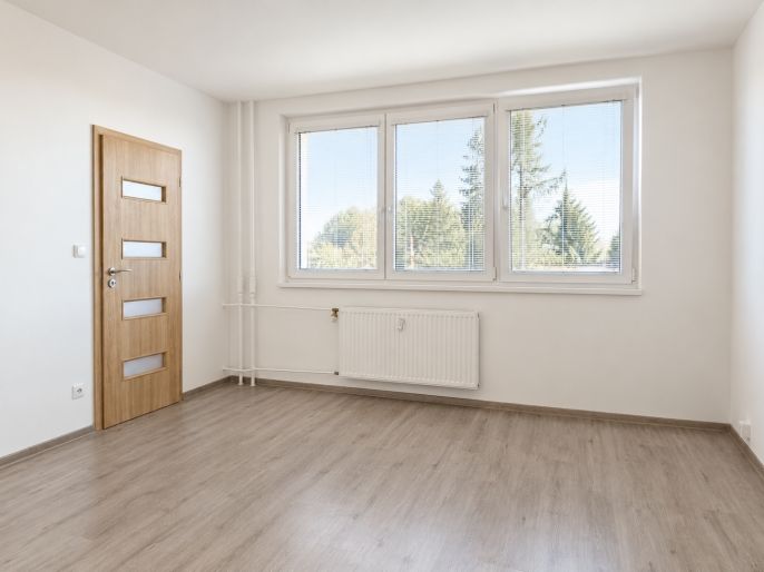Pronájem, Byt 2+1, Frýdek-Místek