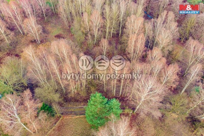 Prodej, Louka, Arnoltice