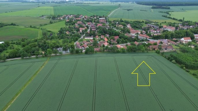 Prodej, Pole, Záhornice