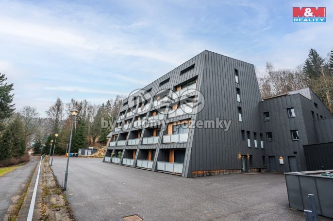 Prodej, Byt 1+kk, Janov nad Nisou