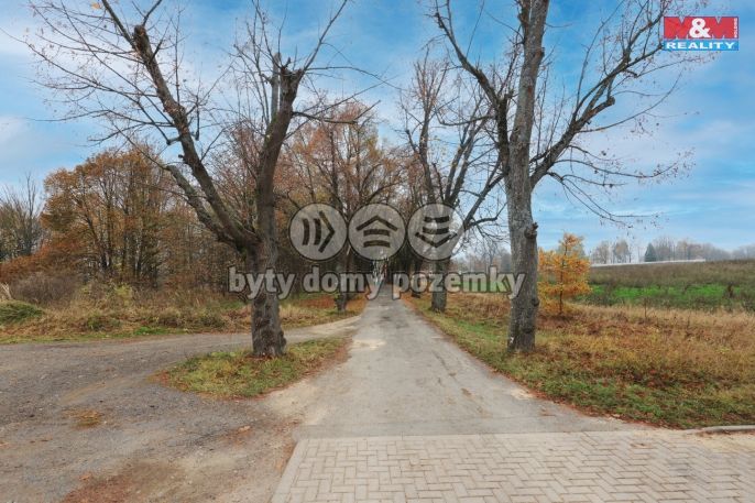 Prodej, Ostatní, Tachov