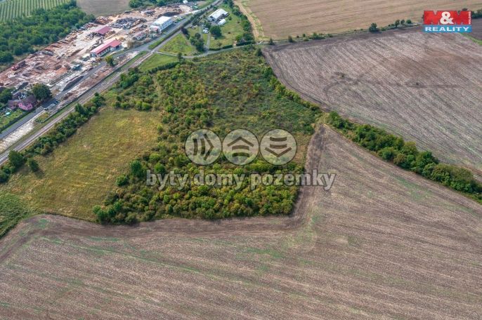 Prodej, Ovocný sad, Chotiměř