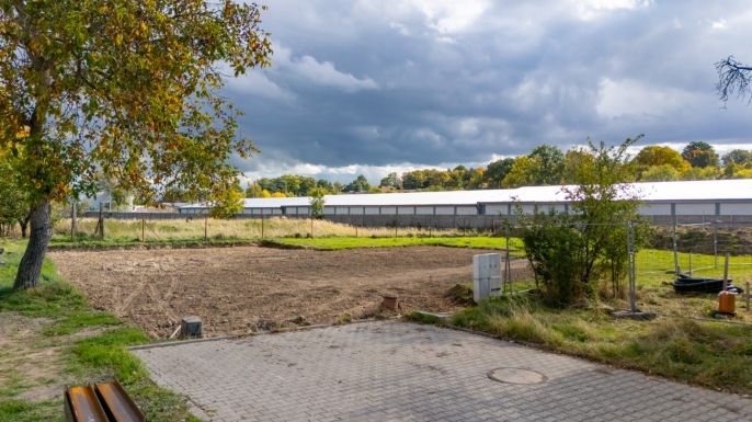 Prodej, Pozemek k bydlení, Velké Albrechtice