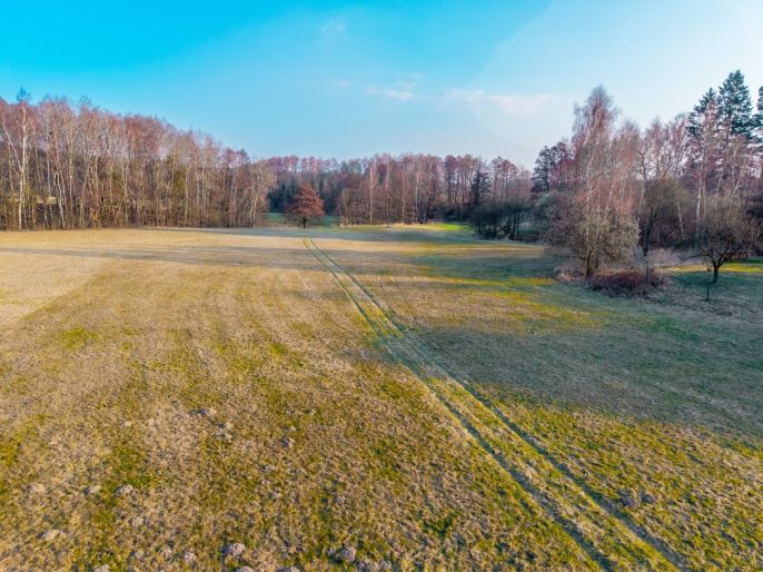 Prodej, Louka, Horní Třešňovec