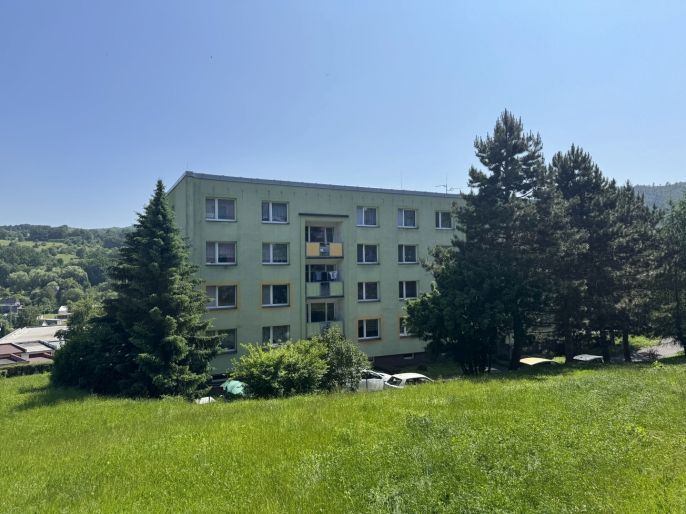 Pronájem, Byt 1+1, Jílové