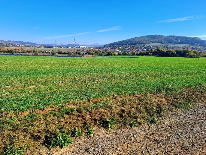 Prodej, Pole, Sentice