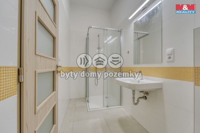 Pronájem, Byt 1+kk, Plzeň