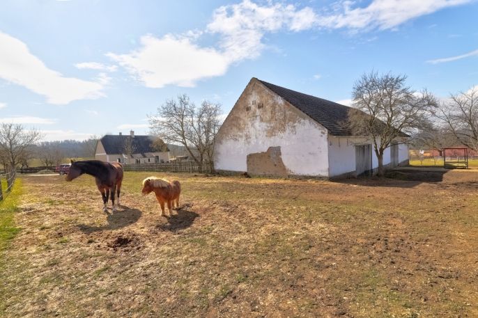 Prodej, Zemědělská usedlost, Dražíč