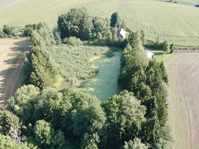 Prodej, Vodní plocha, Rychnov nad Kněžnou
