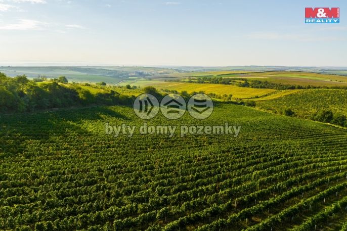 Prodej, Vinice, Šardice