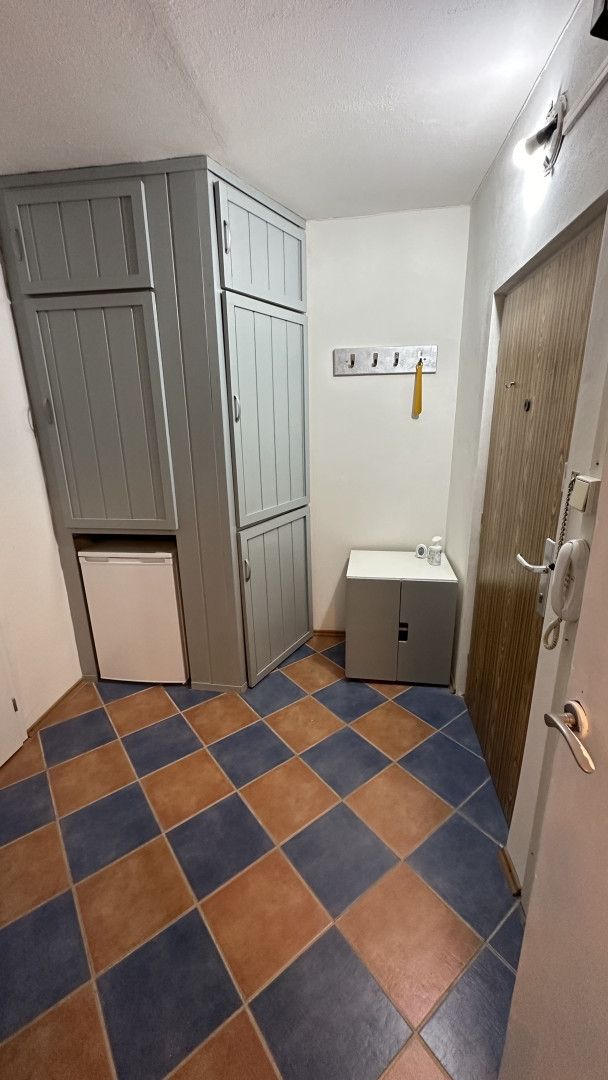 Pronájem, Byt 1+kk, Brno