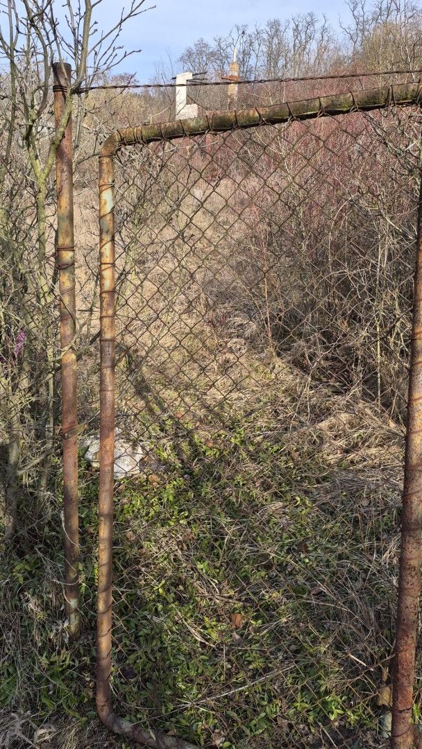 Prodej, Zahrada, Štětí