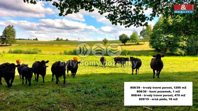 Prodej, Pole, Štoky